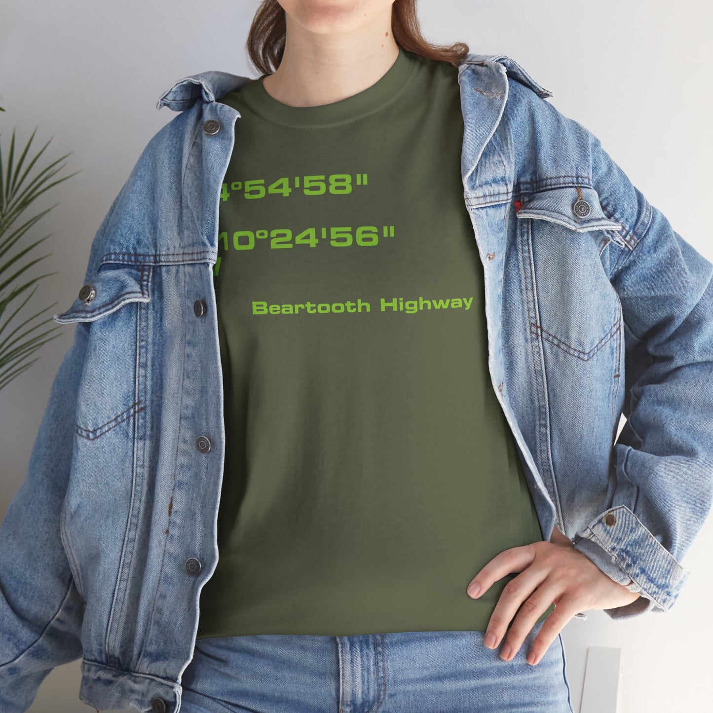 Beartooth Highway End Coordinates t-shirt (US)