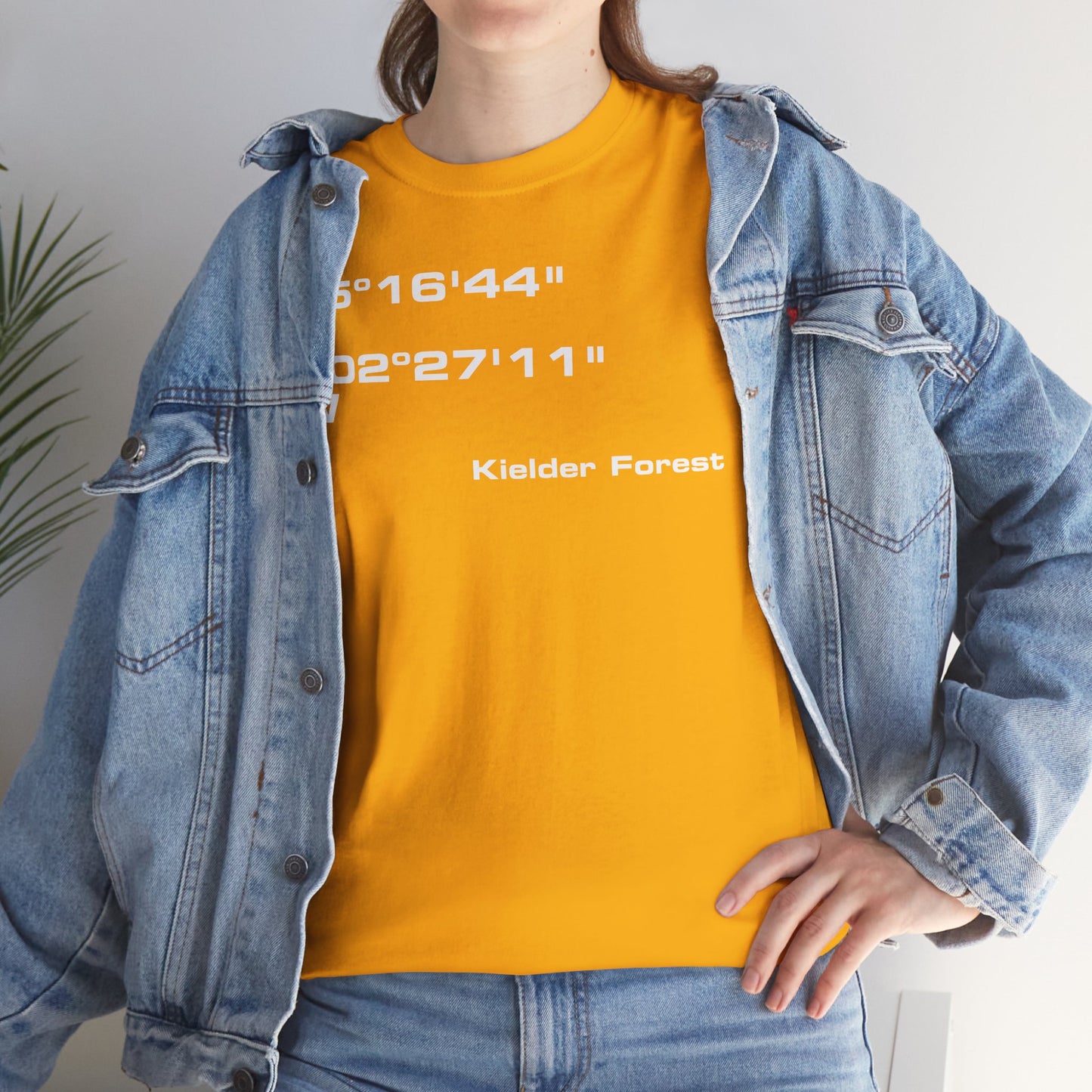 Kielder Forest Coordinates t-shirt (US)