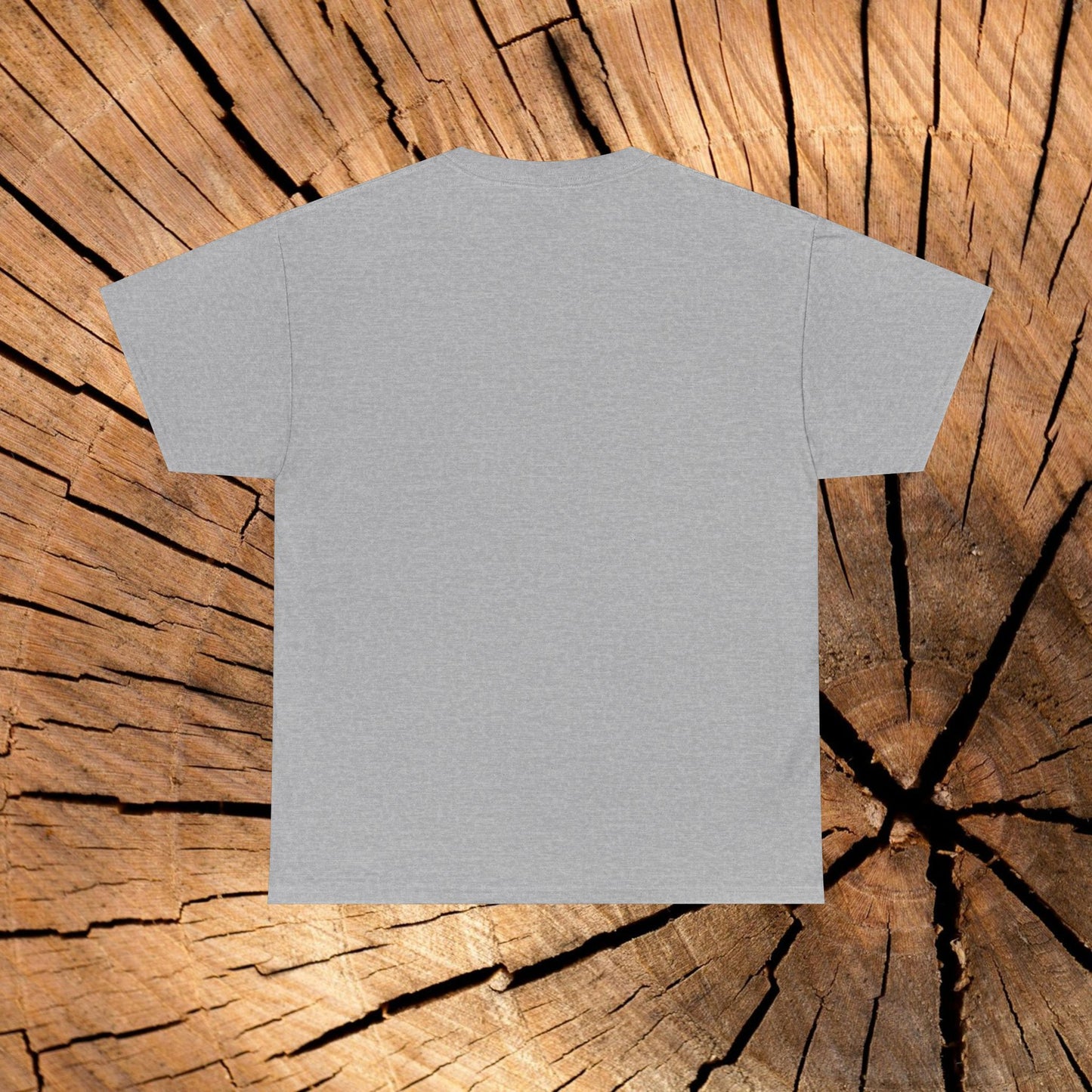 Beartooth Highway End Coordinates t-shirt (US)