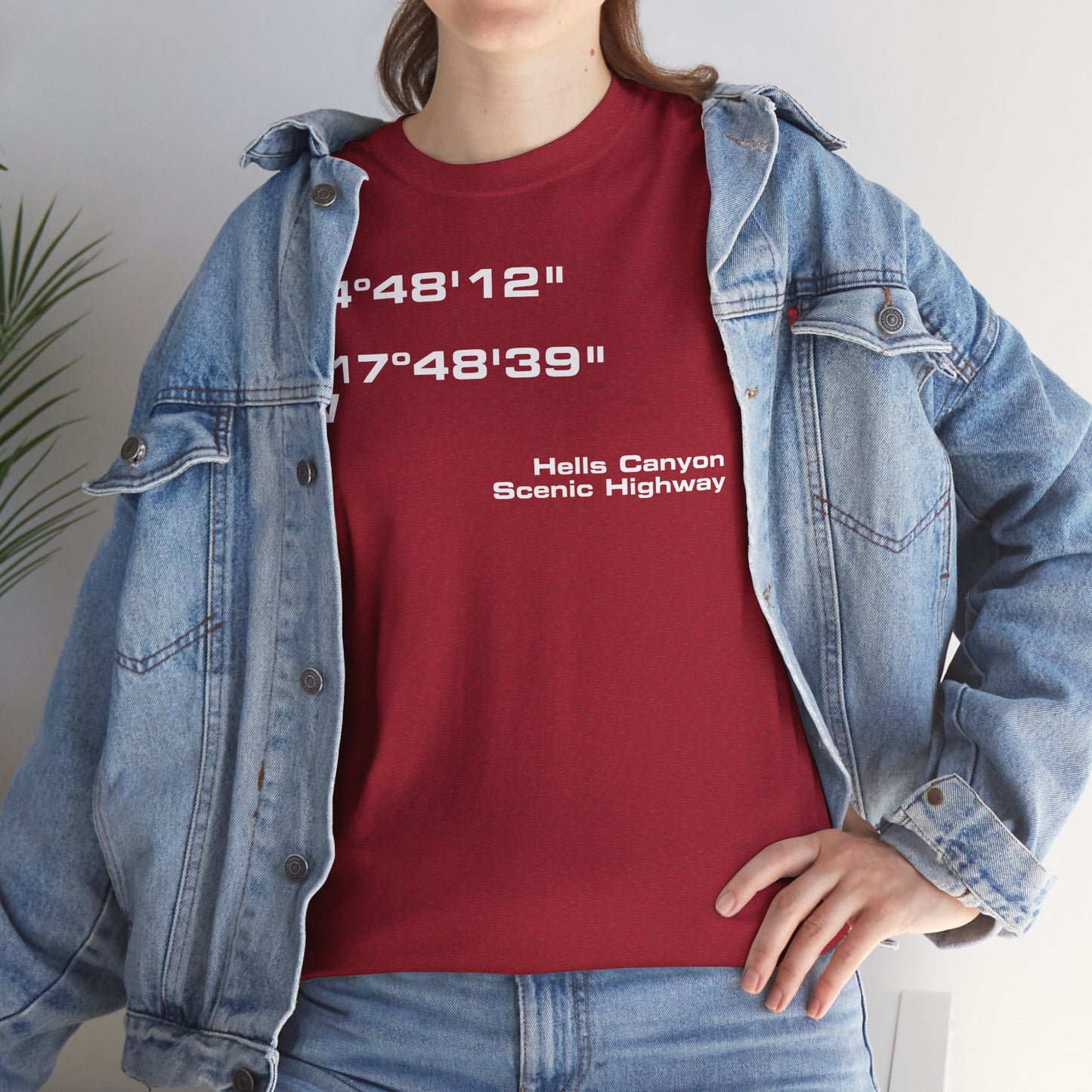 Hells Canyon Scenic Byway End Coordinates t-shirt (US)