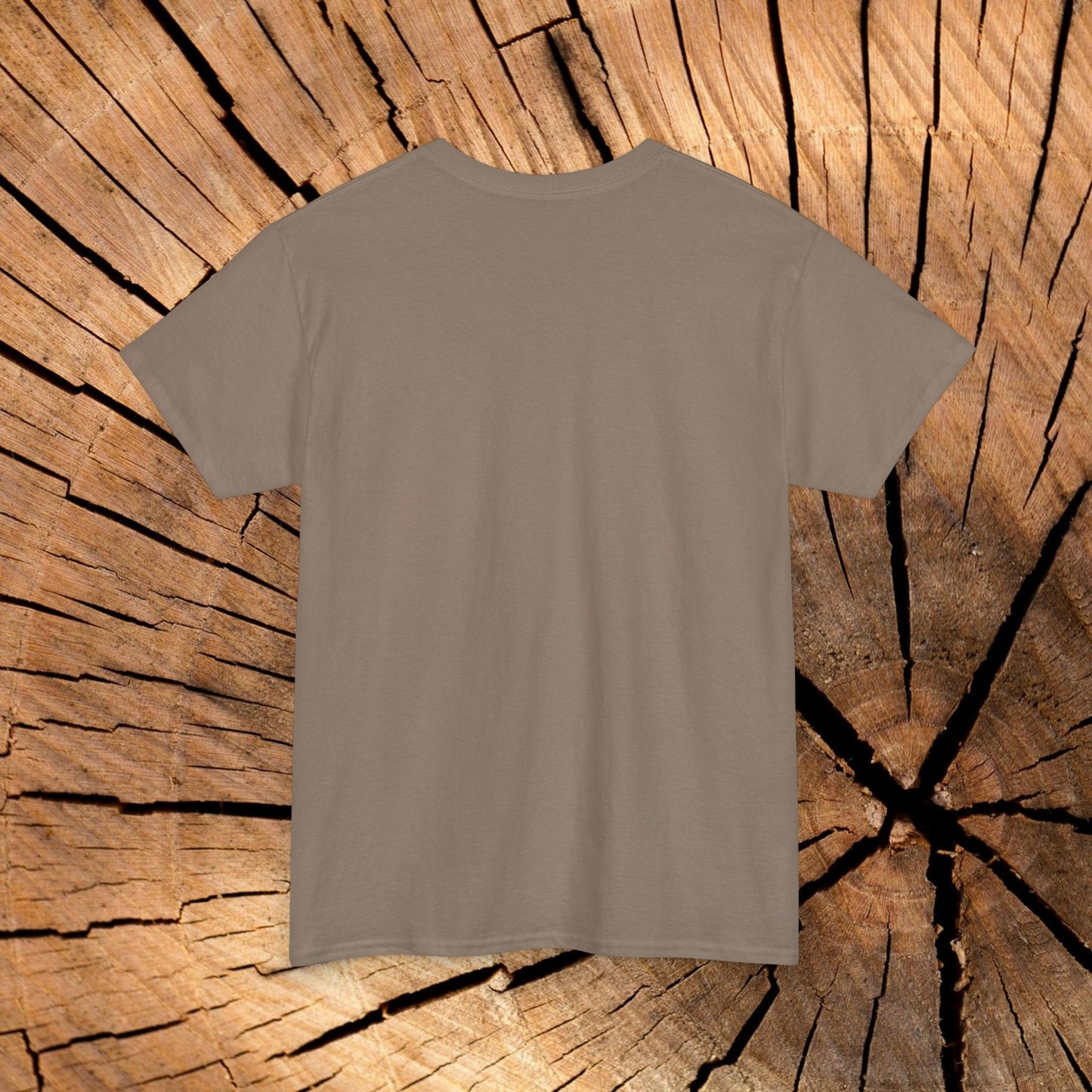 Beartooth Highway End Coordinates t-shirt (US)