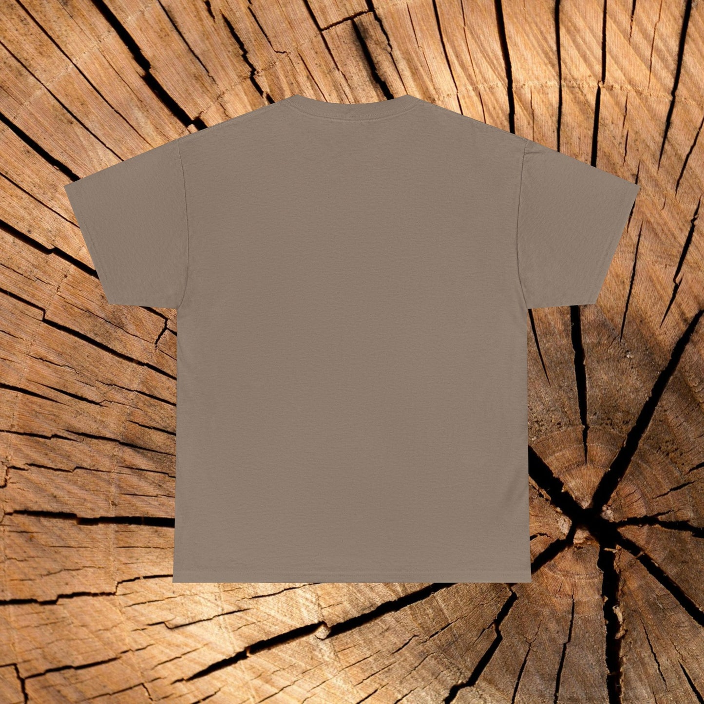 Beartooth Highway End Coordinates t-shirt (US)