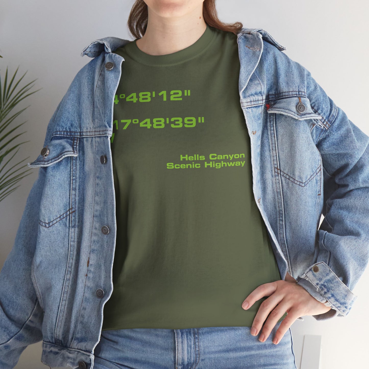 Hells Canyon Scenic Byway End Coordinates t-shirt (US)