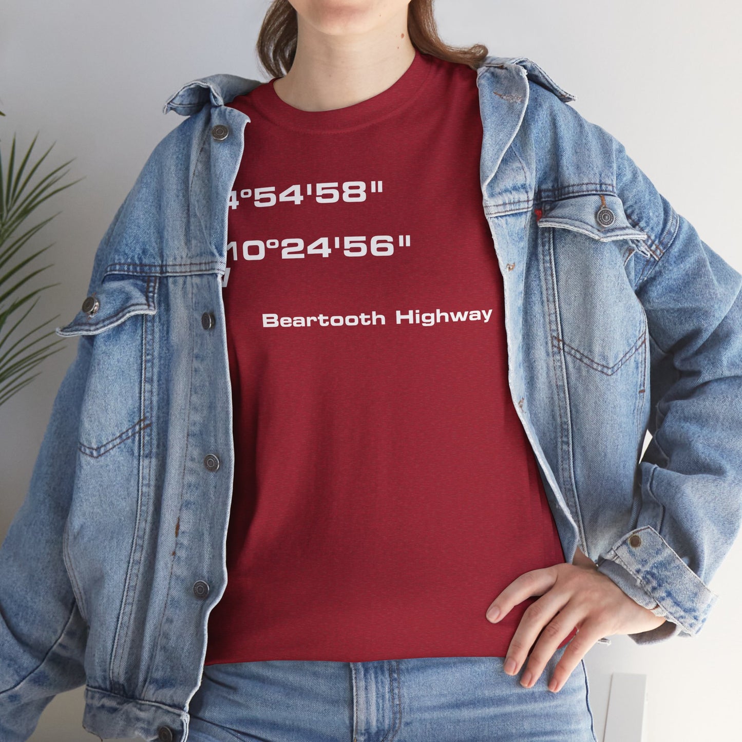 Beartooth Highway End Coordinates t-shirt (US)