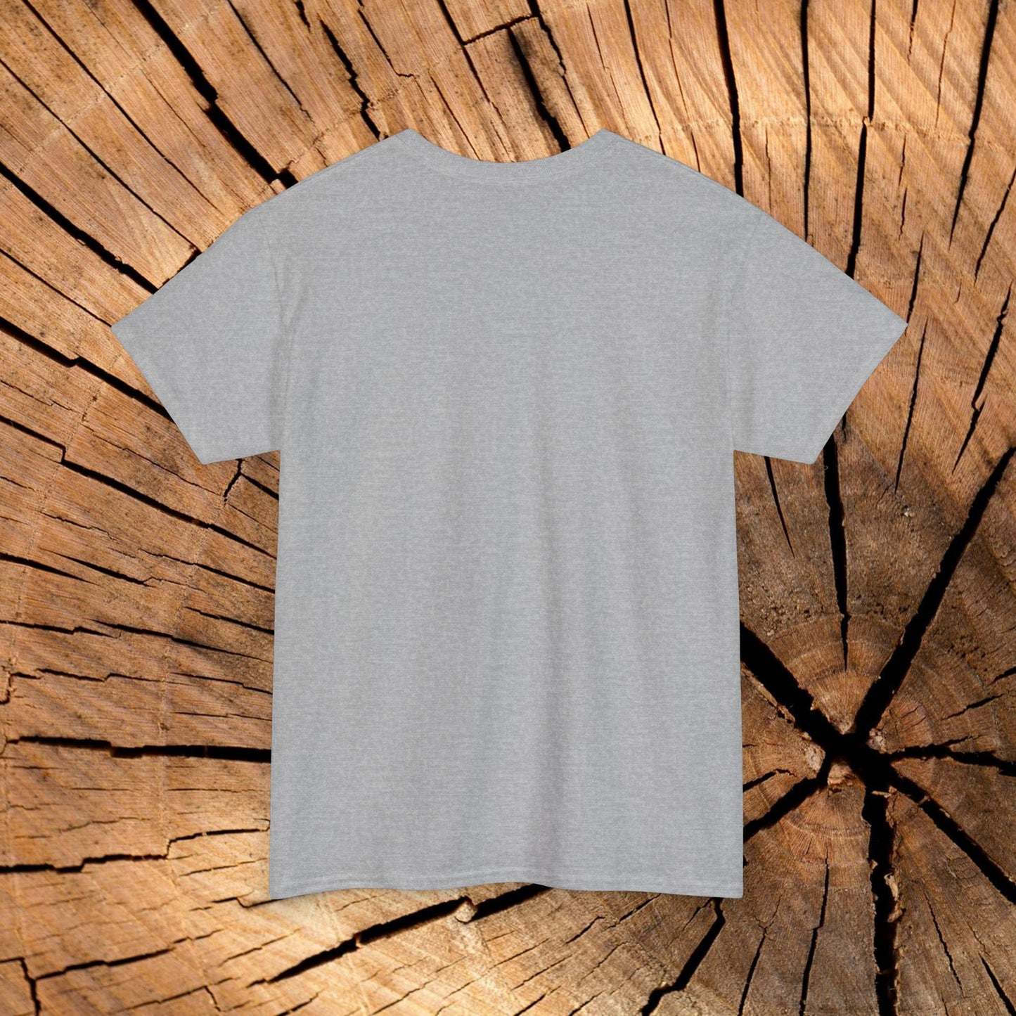 Beartooth Highway End Coordinates t-shirt (US)