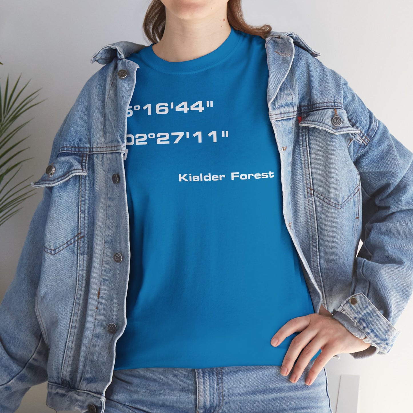 Kielder Forest Coordinates t-shirt (US)