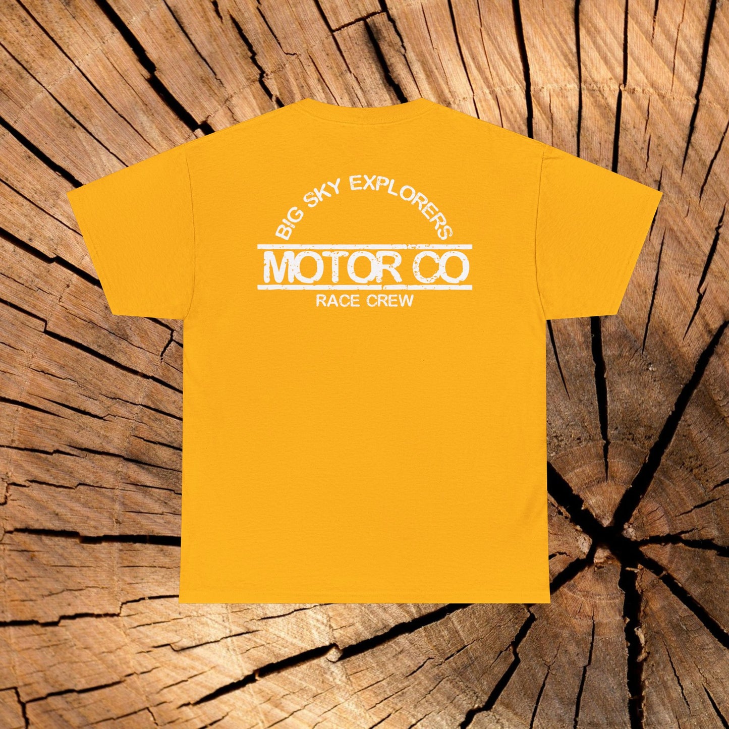 Angel of the North Coordinates t-shirt (US)