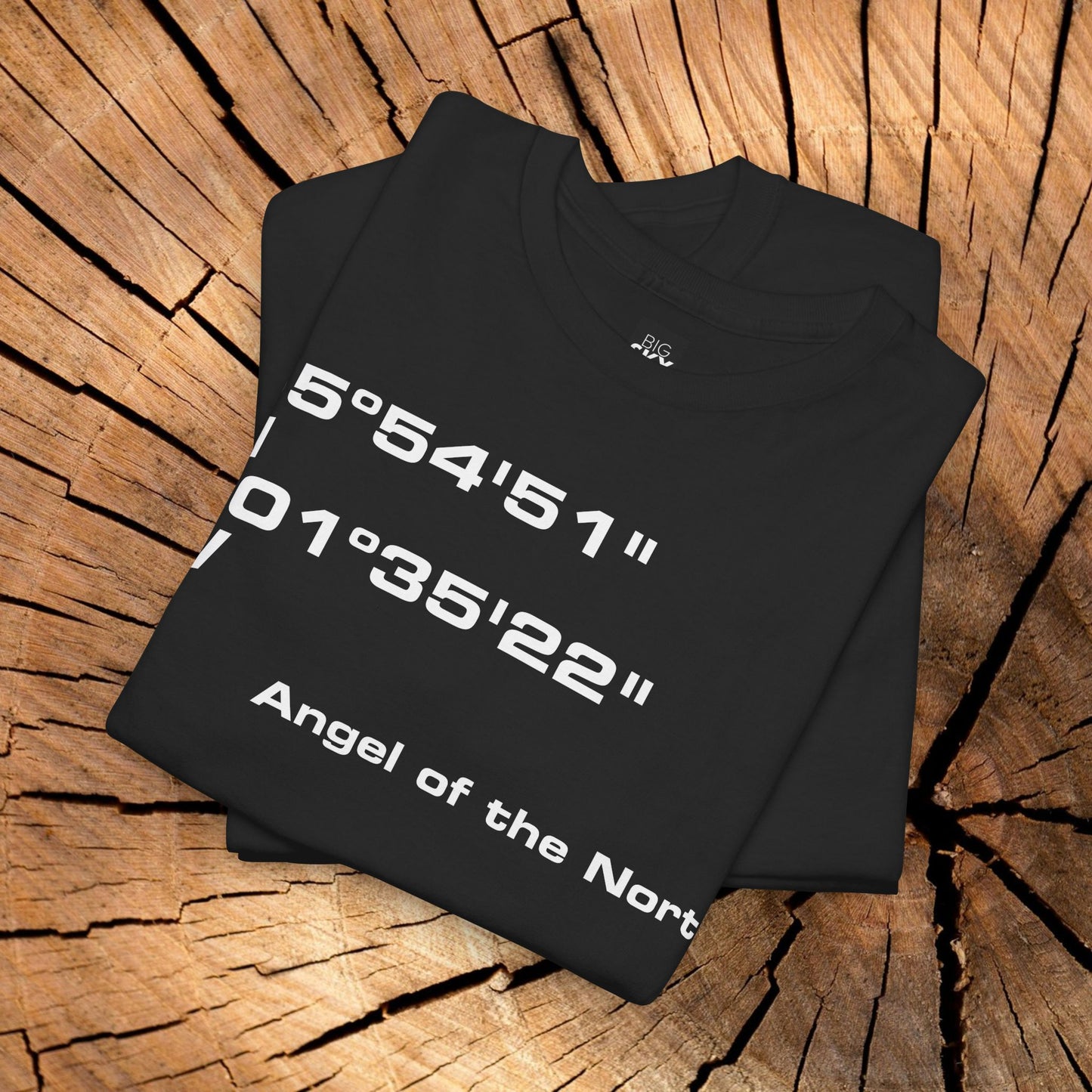 Angel of the North Coordinates t-shirt (US)
