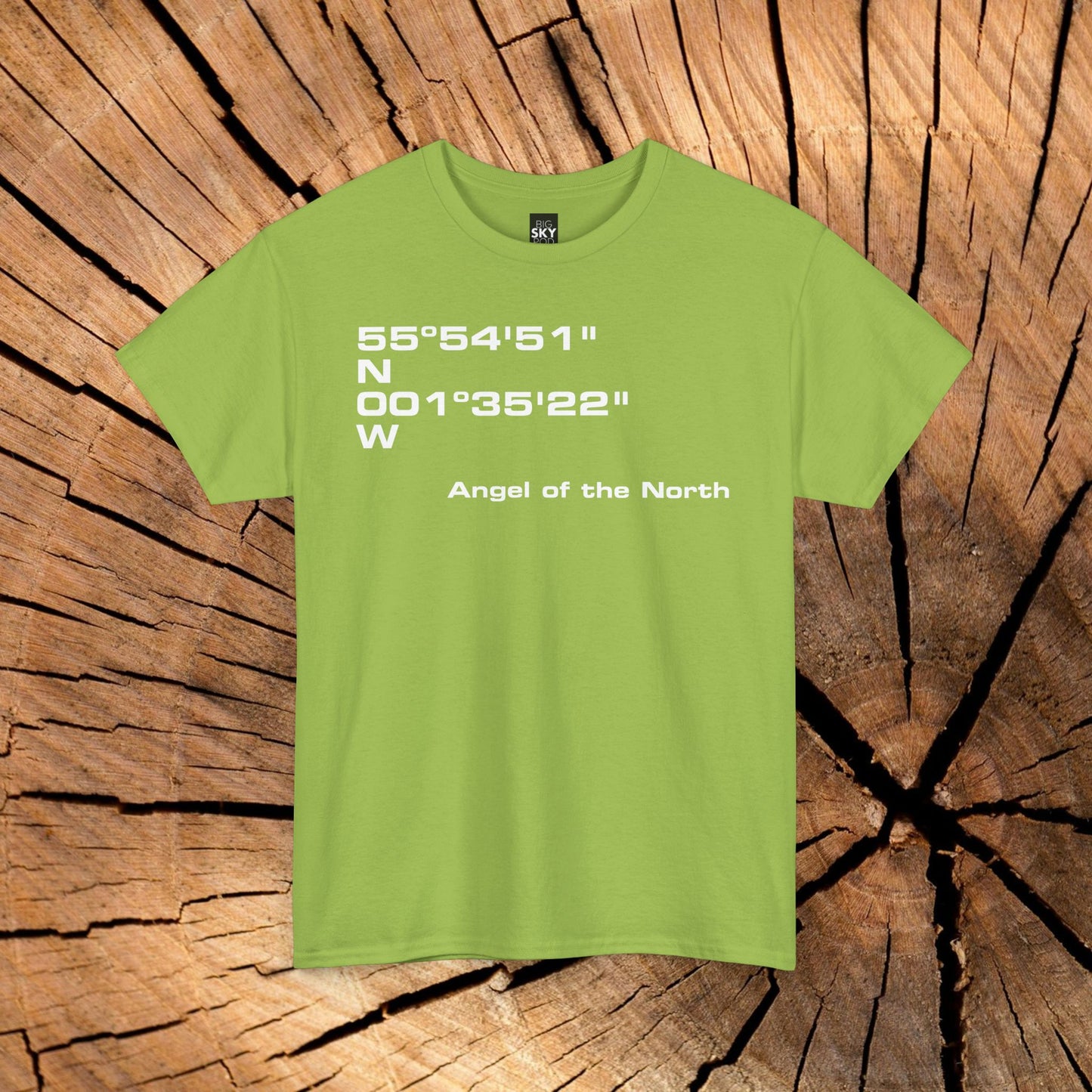 Angel of the North Coordinates t-shirt (US)