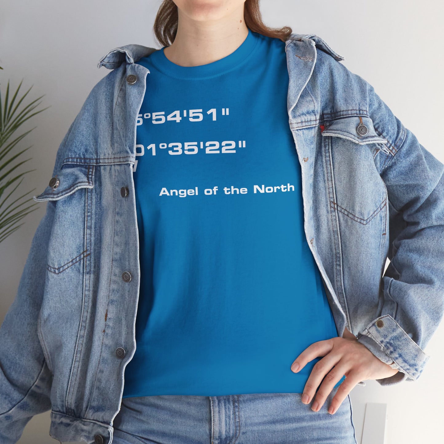 Angel of the North Coordinates t-shirt (US)