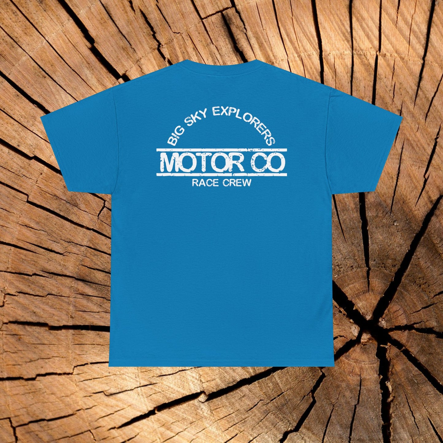 Angel of the North Coordinates t-shirt (US)
