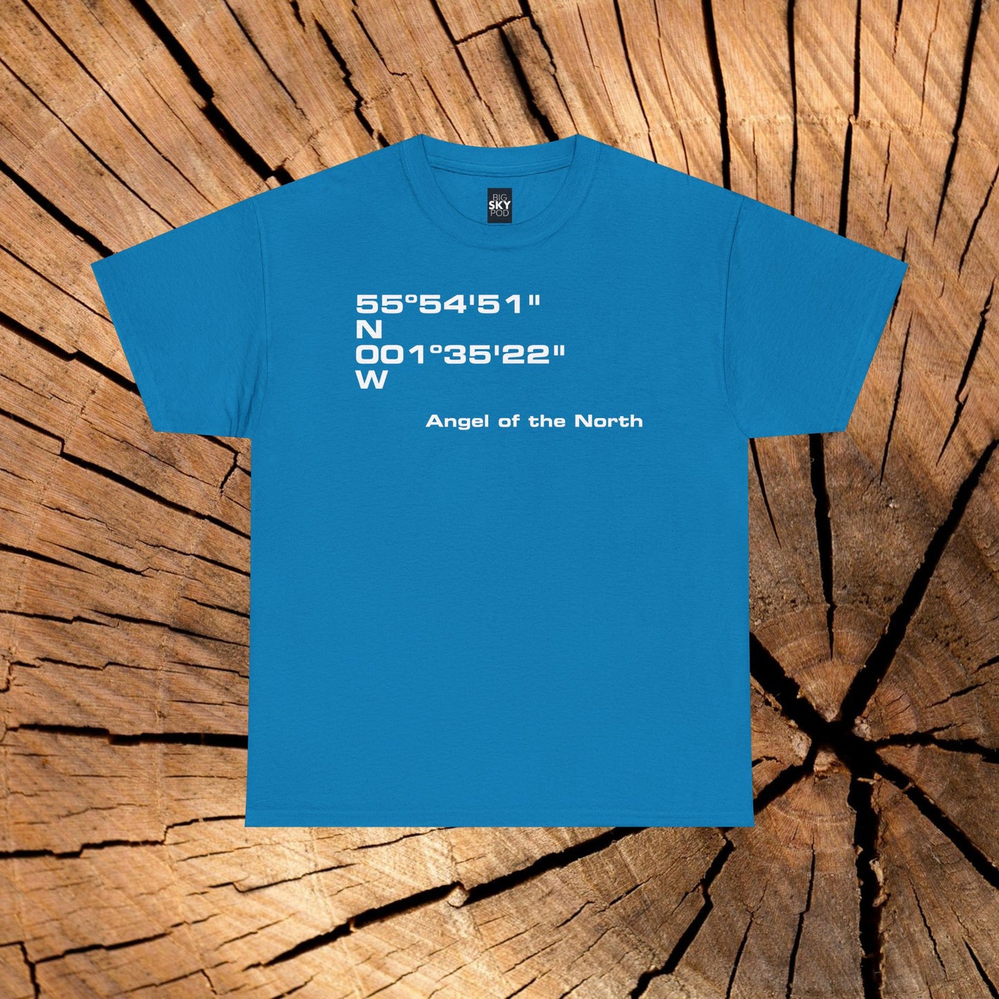 Angel of the North Coordinates t-shirt (US)
