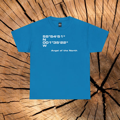Angel of the North Coordinates t-shirt (US)