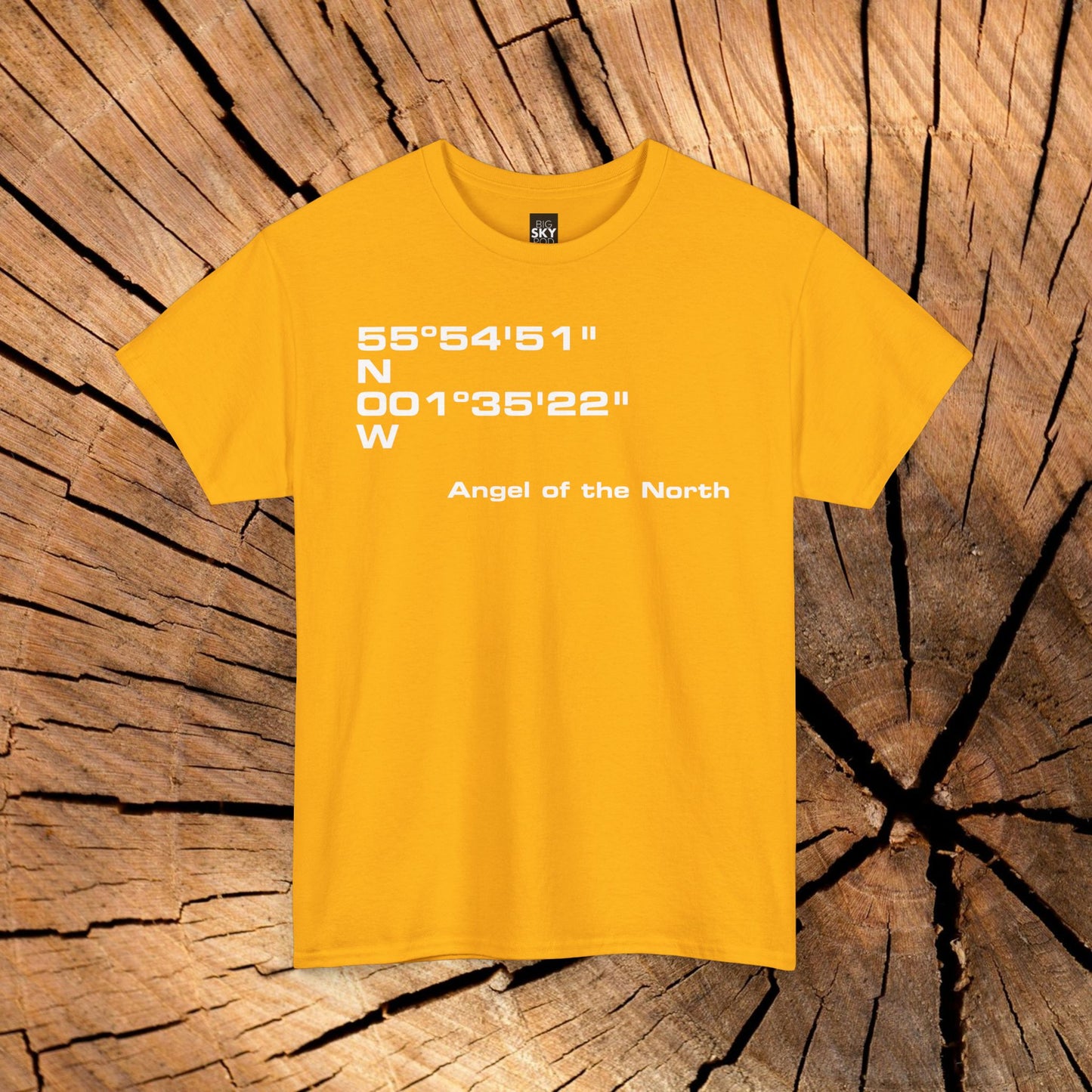 Angel of the North Coordinates t-shirt (US)