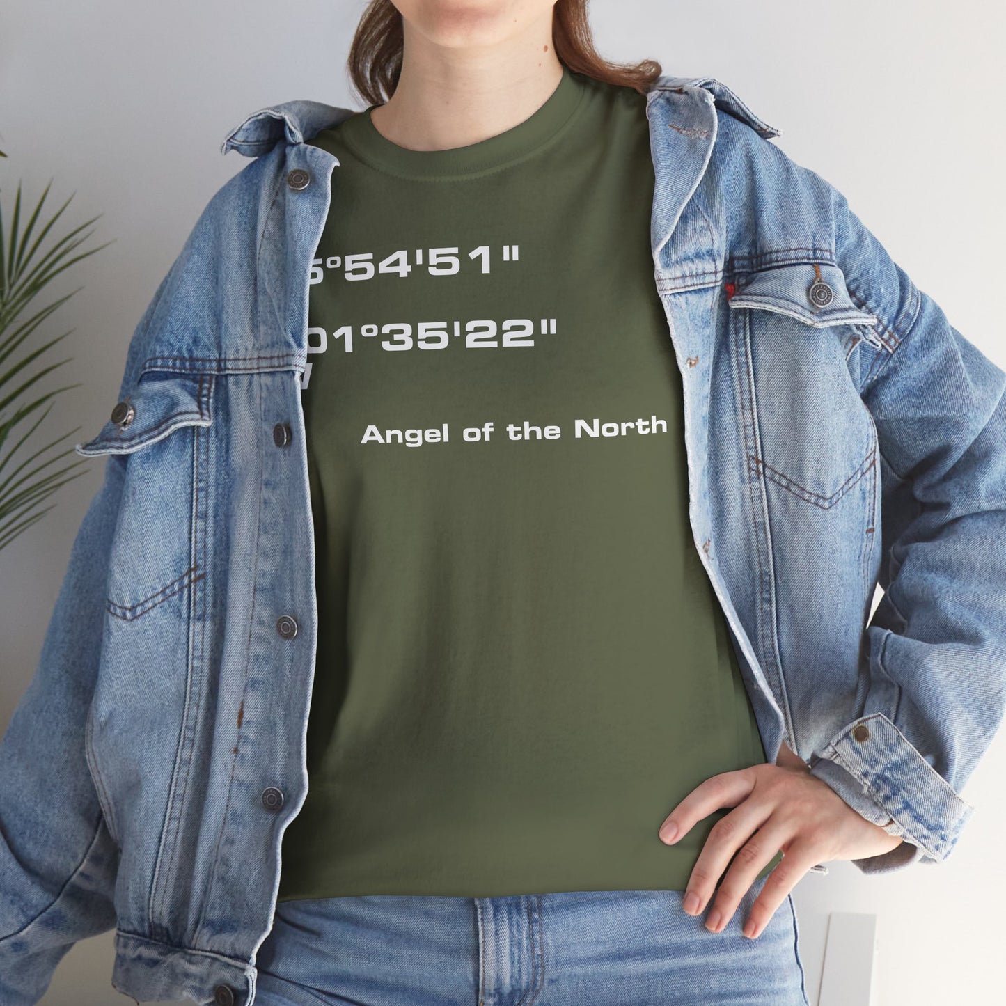 Angel of the North Coordinates t-shirt (US)