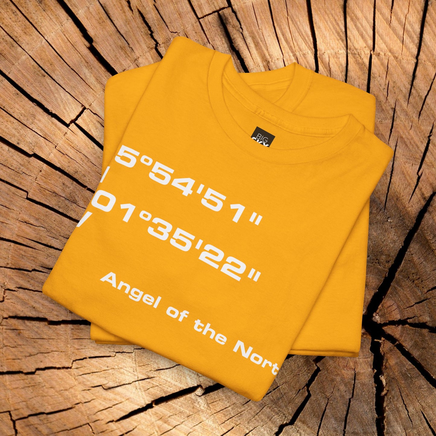 Angel of the North Coordinates t-shirt (US)
