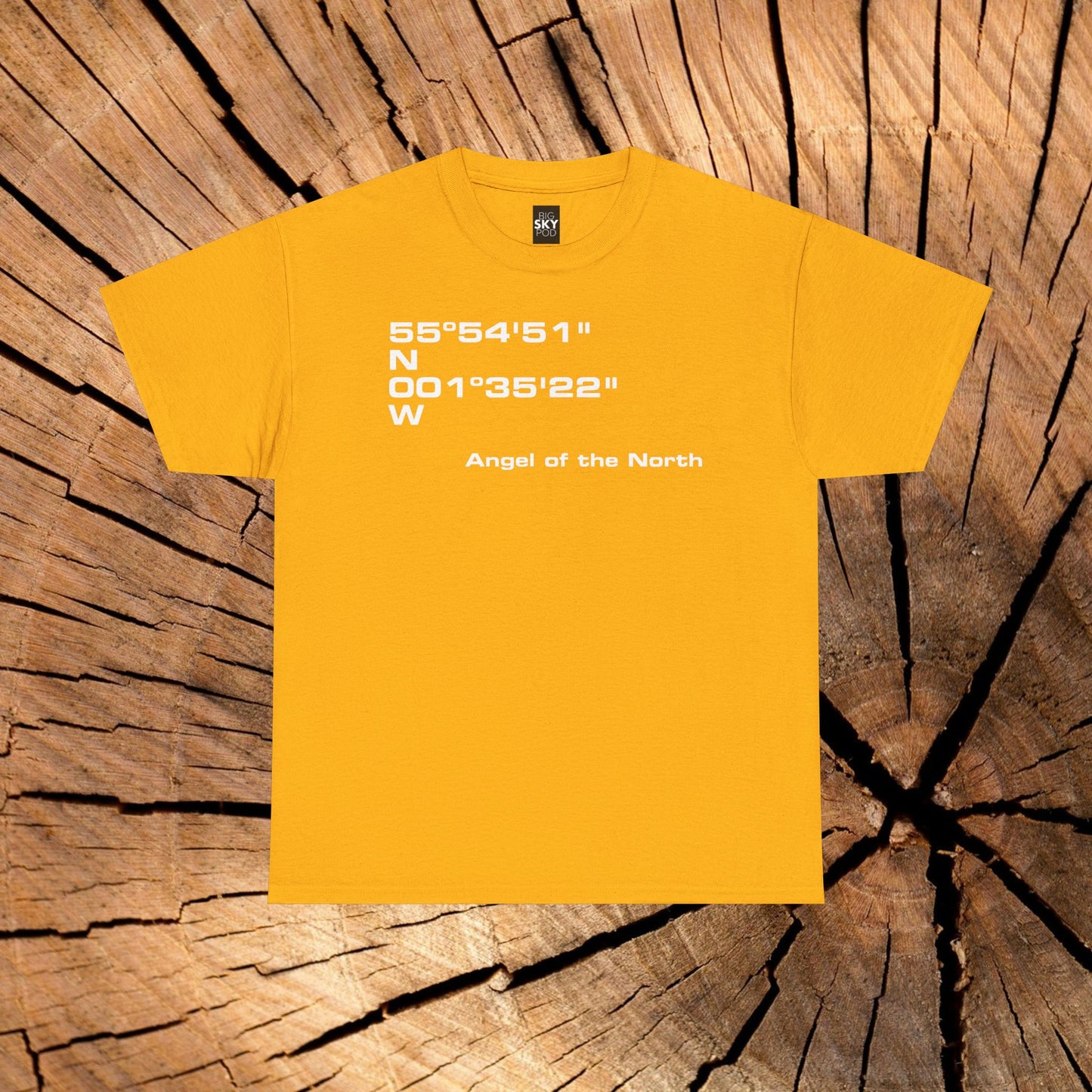 Angel of the North Coordinates t-shirt (US)