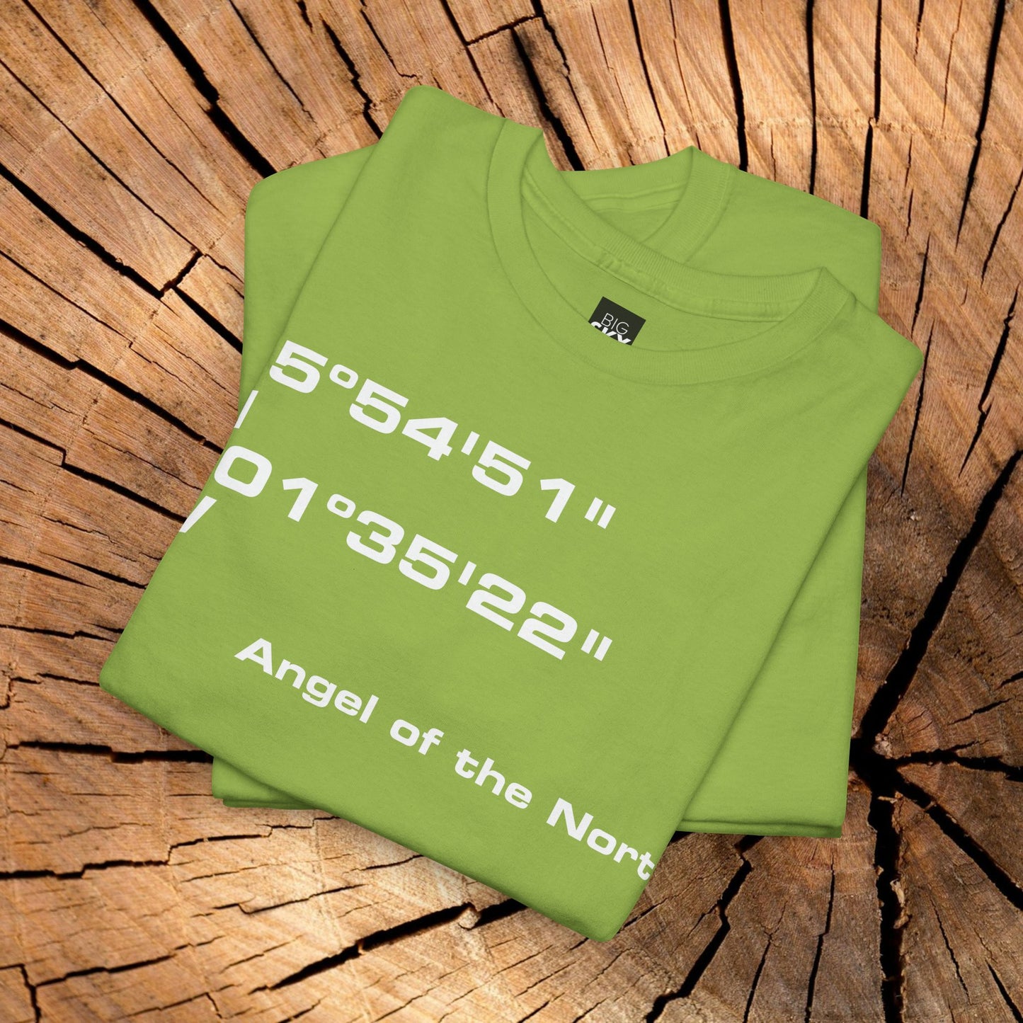 Angel of the North Coordinates t-shirt (US)
