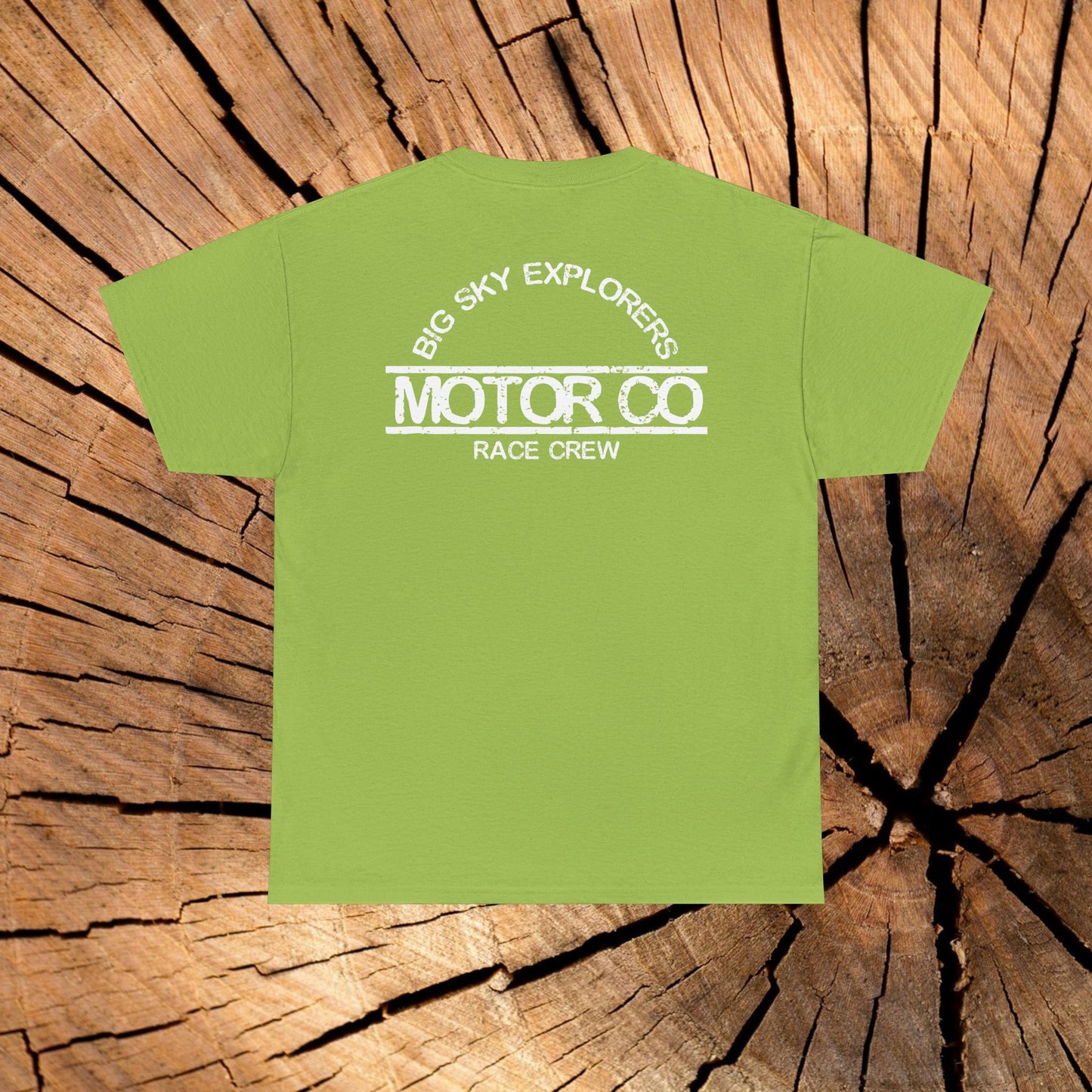 Angel of the North Coordinates t-shirt (US)
