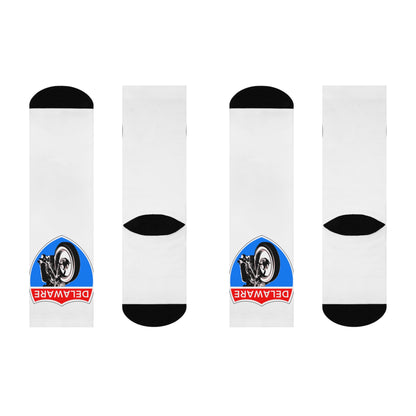 Cushioned Delaware Highway Cruising socks
