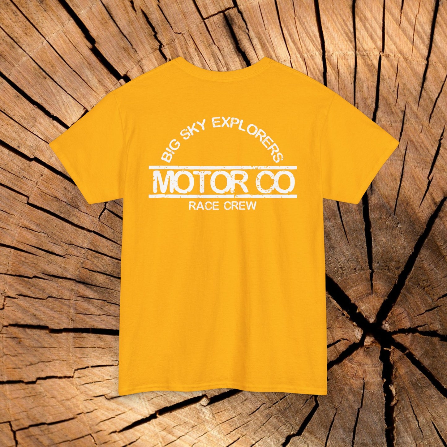 Angel of the North Coordinates t-shirt (US)