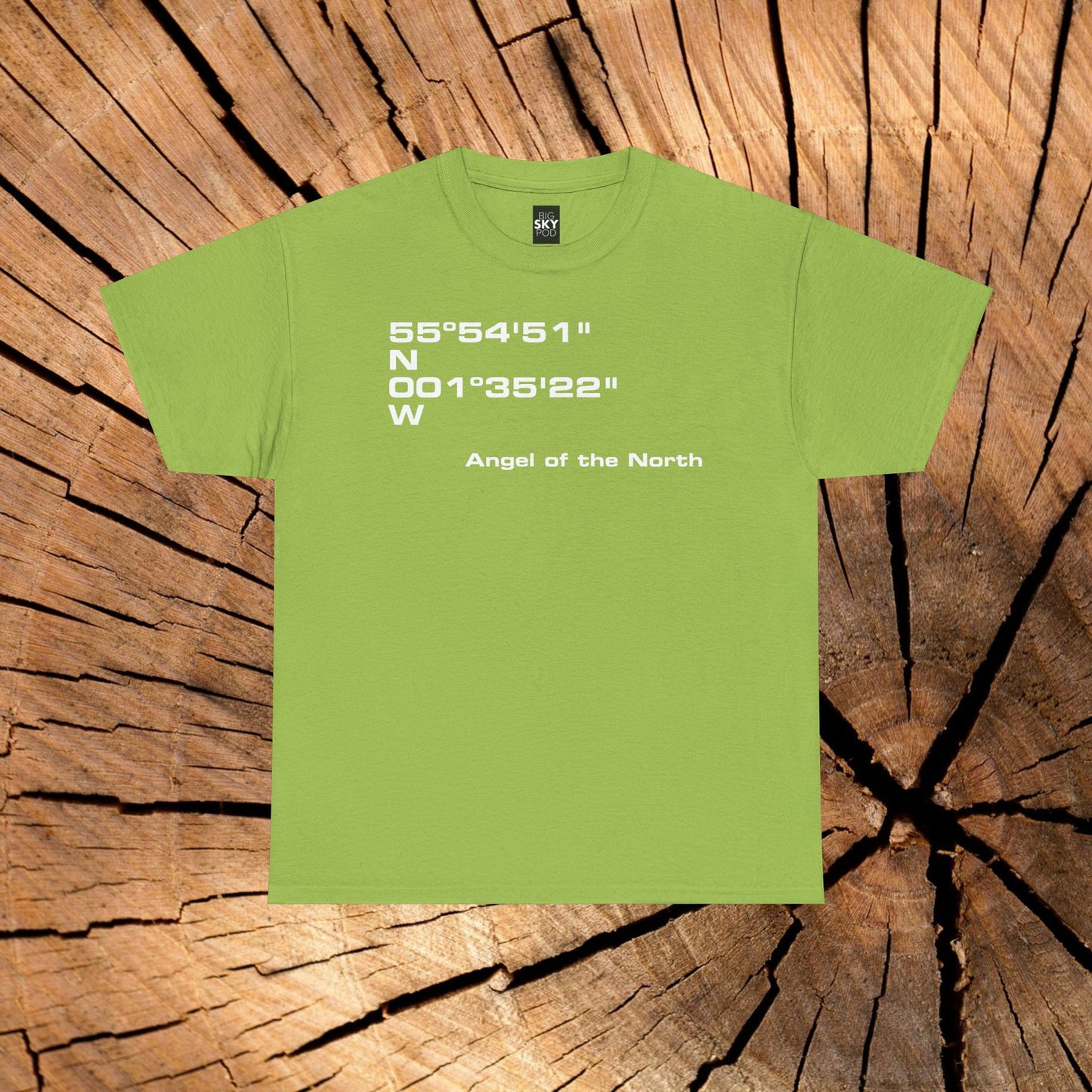 Angel of the North Coordinates t-shirt (US)