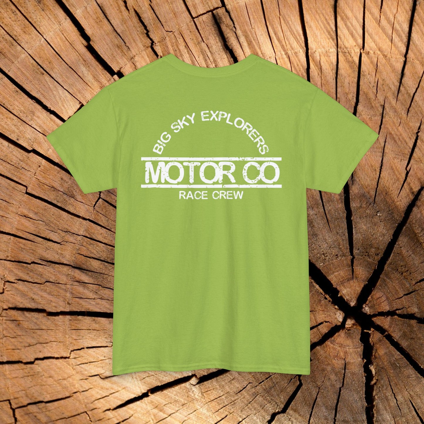 Angel of the North Coordinates t-shirt (US)