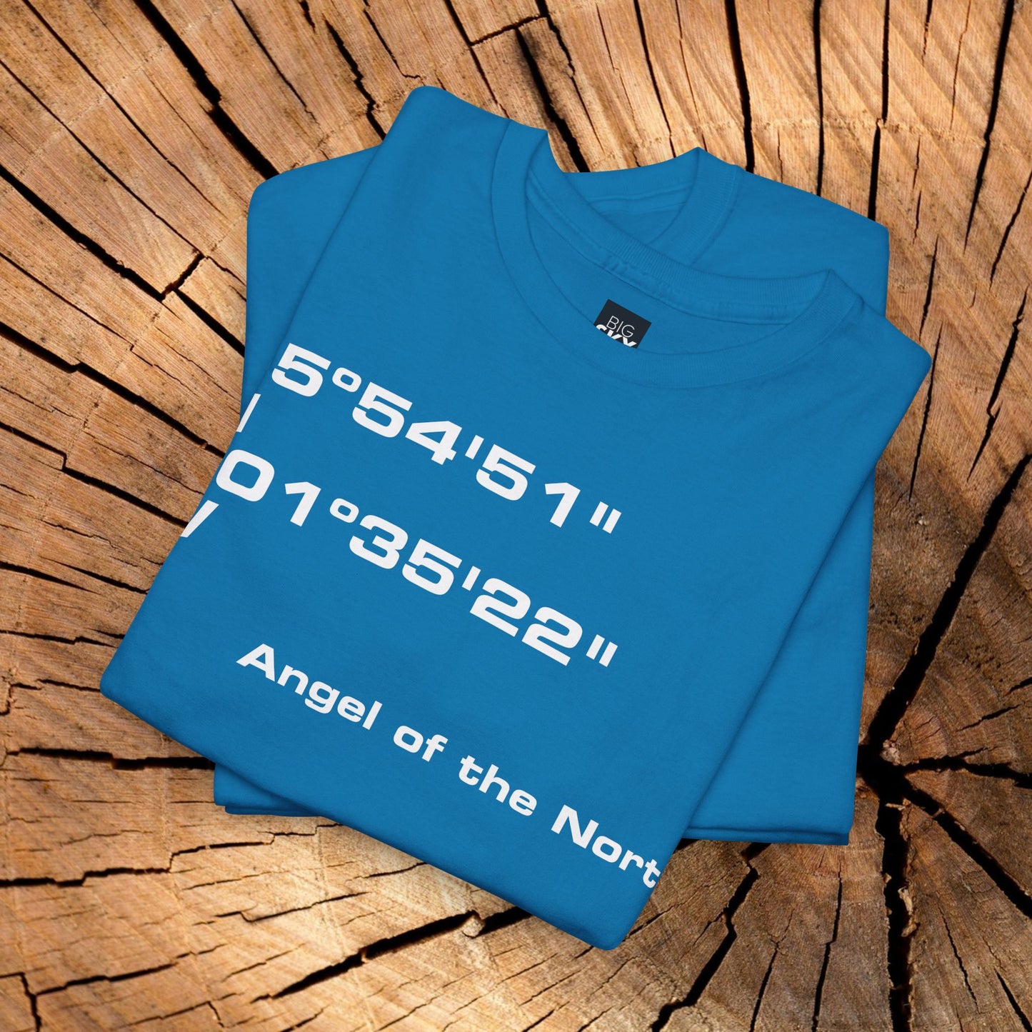 Angel of the North Coordinates t-shirt (US)